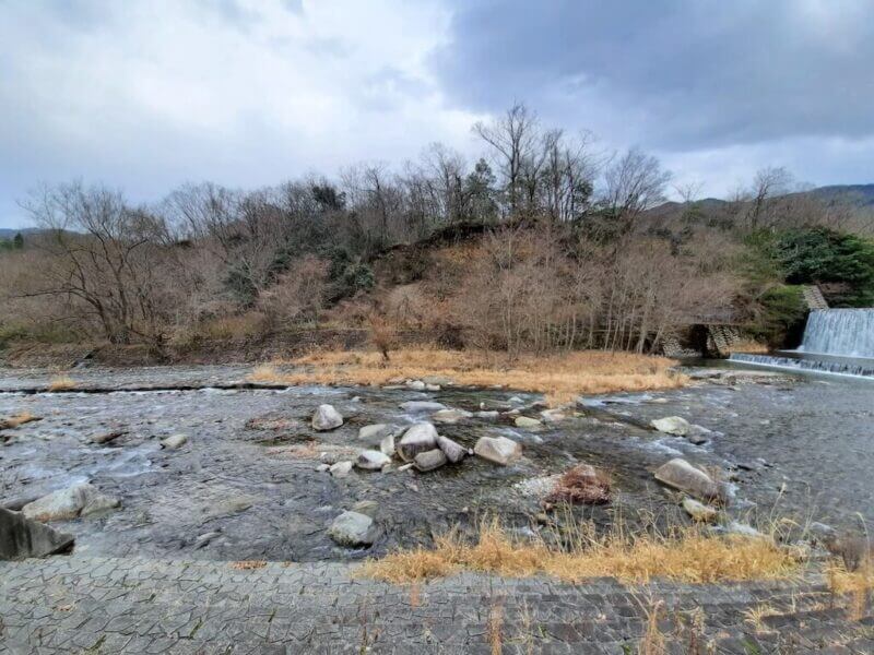 あいきょうの森キャンプ場-キャンプ場-渋子川