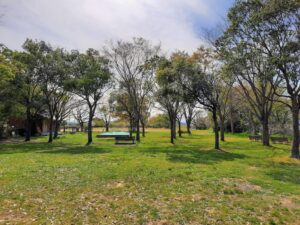 無料でbbqができる琵琶湖沿いの湖岸緑地公園 南三ツ谷公園 Outdoor Shiga アウトドアシガ