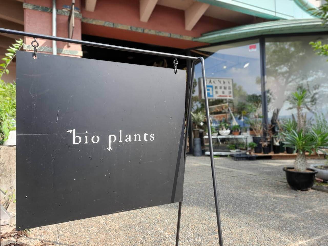 滋賀県-bio plants-ビオ プランツ-植物屋-植物園-植物販売