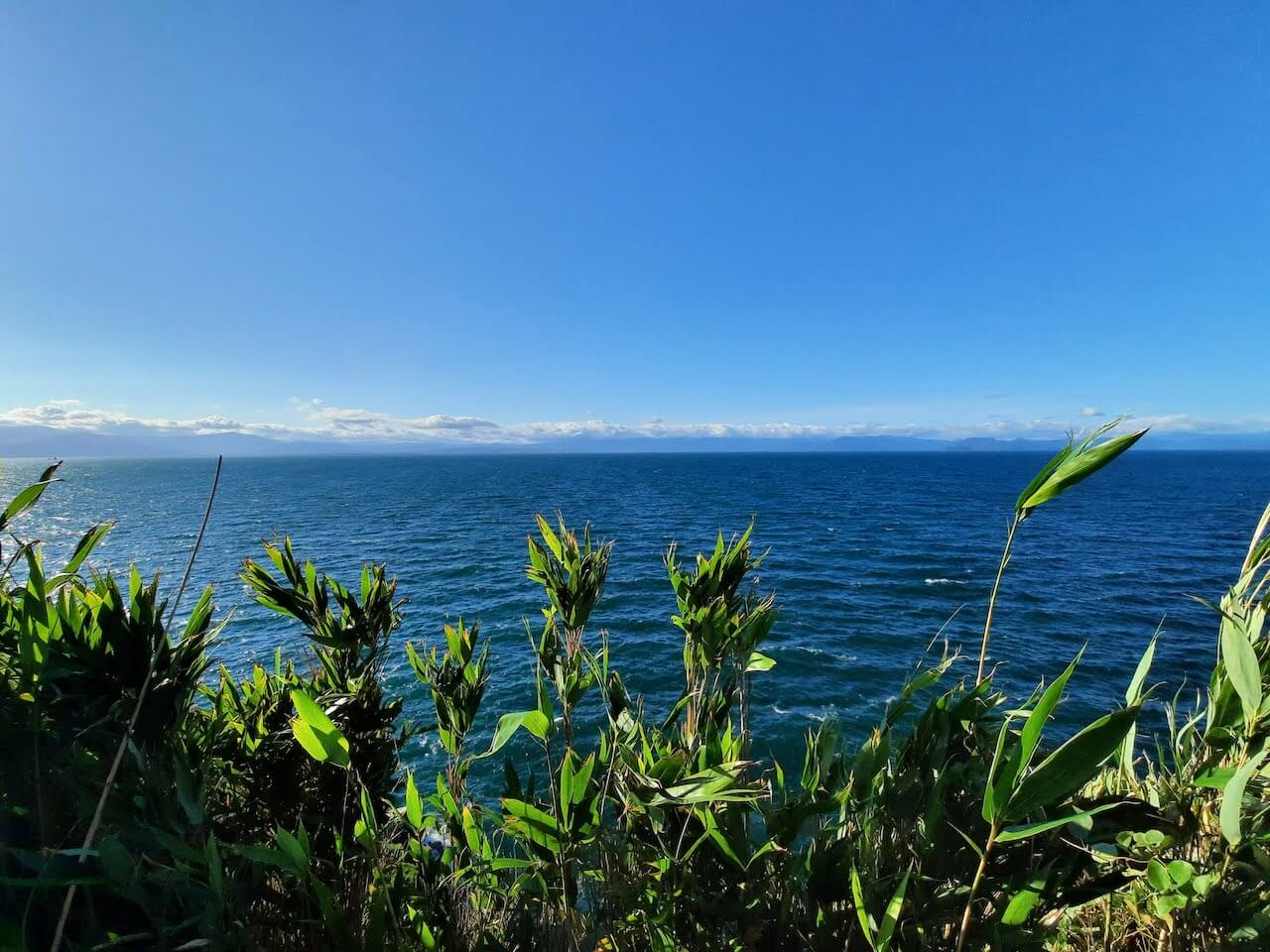 多景島観光-オーミマリン彦根港-琵琶湖